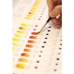 WINSOR & NEWTON™ Professional WATER COLOUR™ Dot Card