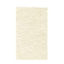 Papier du Japon SENKWA