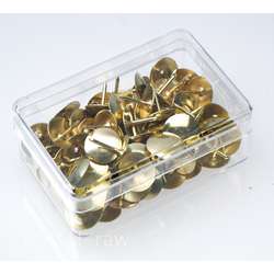 Punaises laitonnées