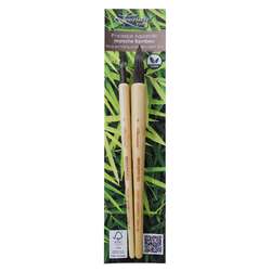 Lot de 2 pinceaux aquarelle bambou série 702RO
