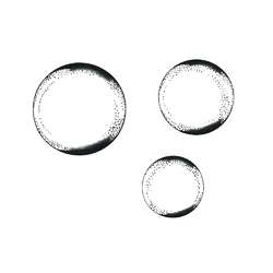 Lavinia Stempel, Bubbles