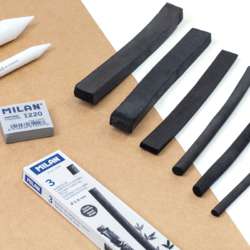 Fusains naturels cylindriques Milan