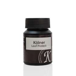 Vernis pour intérieur transparent Kölner leaf protect