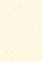 Papier d´artiste Tiziano FABRIANO®, 50 cm x 65 cm, Crema