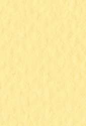 Papier d´artiste Tiziano FABRIANO®, 50 cm x 65 cm, Limone