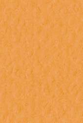 Papier d´artiste Tiziano FABRIANO®, 50 cm x 65 cm, Arancio