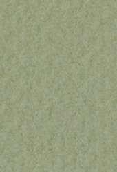 Papier d´artiste Tiziano FABRIANO®, 50 cm x 65 cm, Muschio