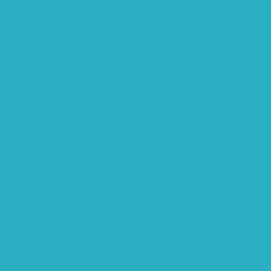 Papier couleur Lana Colours 1, 50 x 65 cm (Raisin) - 1 feuille - 160 g/m², Menthe