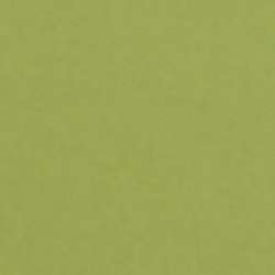 Papier couleur Lana Colours 1, 50 x 65 cm (Raisin) - 1 feuille - 160 g/m², Vert