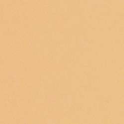 Papier couleur Lana Colours 1, 50 x 65 cm (Raisin) - 1 feuille - 160 g/m², Huître