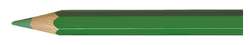 Crayons de couleur aquarelle CARAN D'ACHE PRISMALO®, Couleur, vert gazon