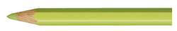 Crayons de couleur Caran D'Ache Pablo, Vert de mai