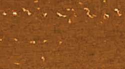 Pastels extra-fins pour Artistes JAXELL®, Rouge anglais I