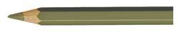 Crayons de couleur Caran D'Ache Pablo, Noir olive