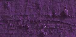 Pastel à l'huile Neopastel  de Caran d'Ache, Lilas PV23 / PR122