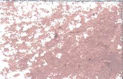 Pastel à l'huile JAXON®, 68 mm - diamètre 10 mm, Gris rose