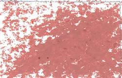 JAXON® Ölpastellkreiden Einzelkreiden, Ölpastellkreide, Blassbraun