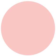 Feutre PITT artist pen Brush Faber-Castell, Brush