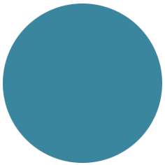 Feutre PITT artist pen Brush Faber-Castell, Brush