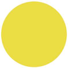 Feutre PITT artist pen Brush Faber-Castell, Brush