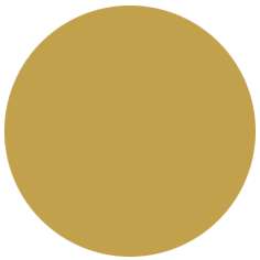 Feutre PITT artist pen Brush Faber-Castell, Brush