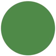 FABER-CASTELL PITT Artist Pen B Tuschemarker, einzeln, Brush, Perm. grün oliv