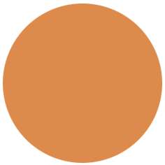 Feutre PITT artist pen Brush Faber-Castell, Brush