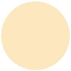 Feutre PITT artist pen Brush Faber-Castell, Brush