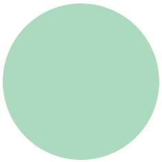 Feutre PITT artist pen Brush Faber-Castell, Brush