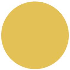 Feutre PITT artist pen Brush Faber-Castell, Brush