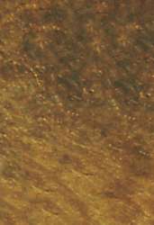 Papier Lokta teinté essences de plantes, 48 x 66 cm - 105 g/m², Brun tabac