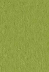 Papier d´artiste Tiziano FABRIANO®, 50 cm x 65 cm, Pistacchio