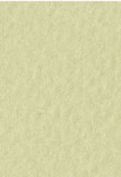 Papier d´artiste Tiziano FABRIANO®, 50 cm x 65 cm, Verduzzo