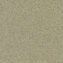 Papier pour pastels Pastelcard de Sennelier, 50 cm x 65 cm, Gris clair