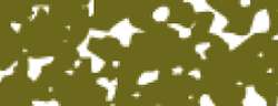 Pastels tendres Rembrandt, Vert olive 620.5B