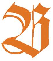 Encre de Chine Antique ROHRER & KLINGNER, Flacon de 100 ml, Abricot