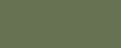 CARAN D`ACHE NEOCOLOR II  pastel aquarellable, Couleurs classiques, Olive foncé