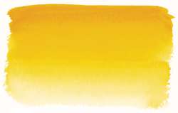 Jaune Sennelier foncé