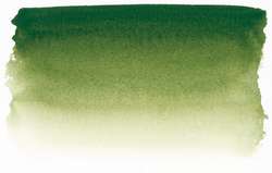 Vert de vessie - PB29, PY153