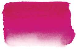 Rose opéra - fluo, PR81:1