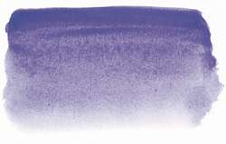 Violet bleu - PV15