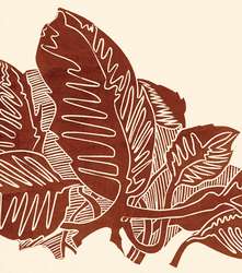 Terre de Sienne brûlée