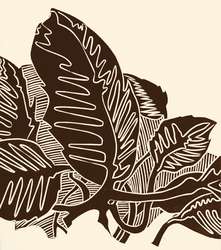 Terre d´ombre naturelle