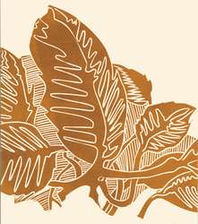 Terre de Sienne naturelle