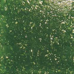 Pierres de mosaïque Joy, 10 x 10 mm x 4 mm, 200g, env. 290 pièces, Vert sapin