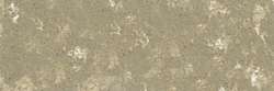 Gris olive 453
