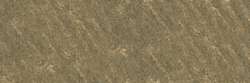 Gris olive 451