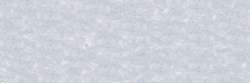 Gris 521