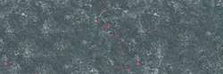 Gris bleu 421