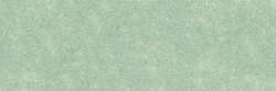 Vert olive iridescent 813